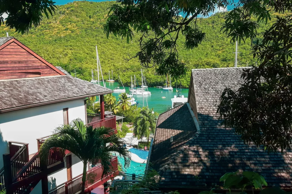 germine-sealy-I9NCk7iwGCs-unsplash